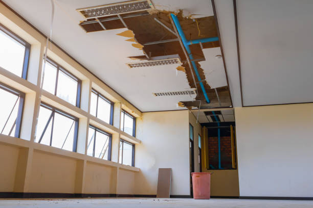 Best Fire Damage Restoration  in Gberts, IL