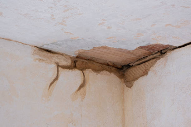 Best Ceiling water damage repair  in Gberts, IL