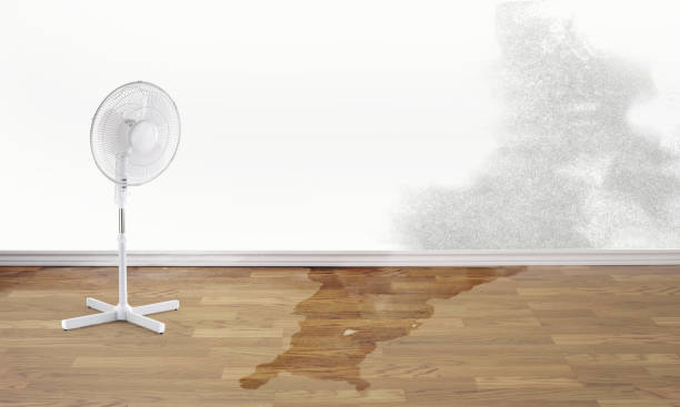Best 24/7 water damage repair  in Gberts, IL