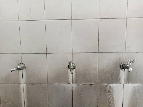  Gberts, IL Water damage restoration Pros