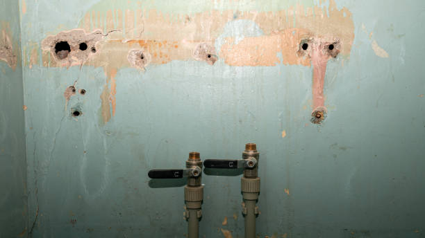 Best Professional water damage repair  in Gberts, IL